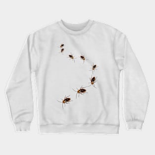 Cockroach follow path a gift Crewneck Sweatshirt